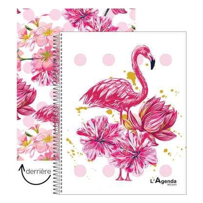 Agenda 2027 - Flamant Rose 3.0