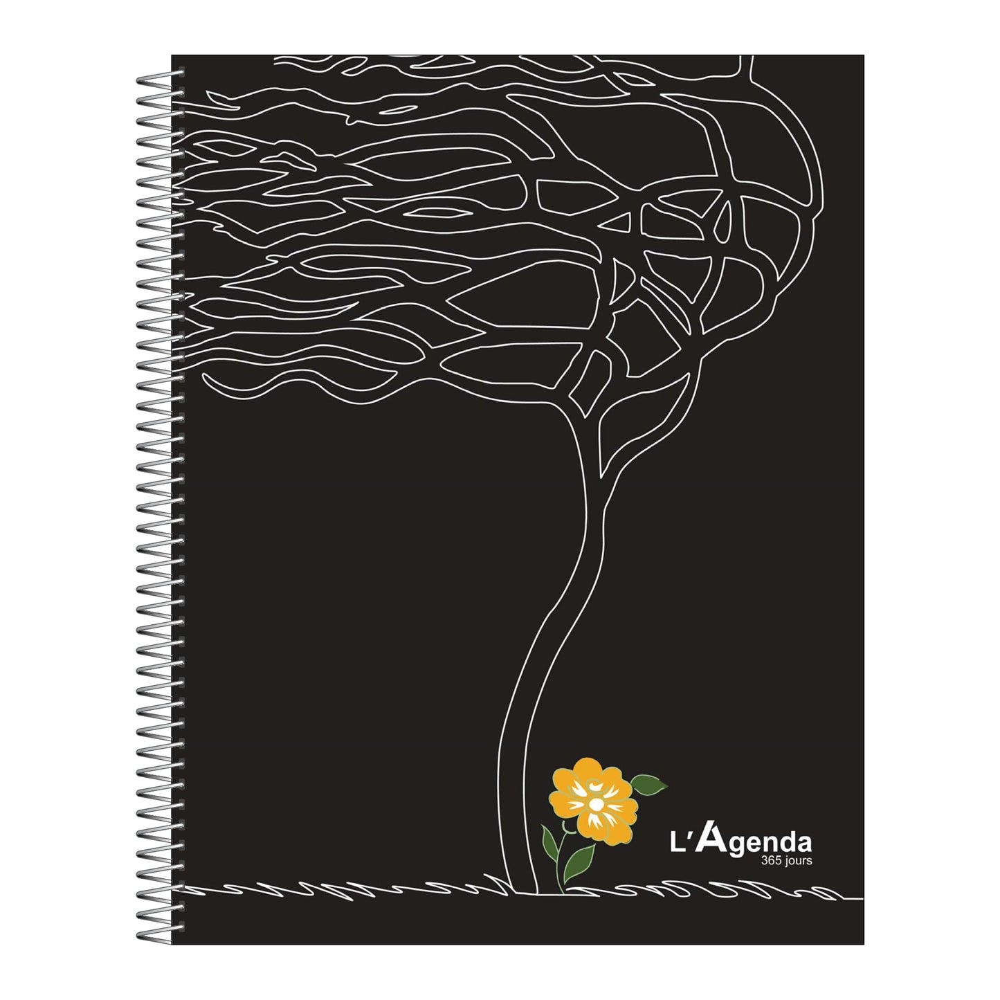 Agenda 2027 - Vent du Sud