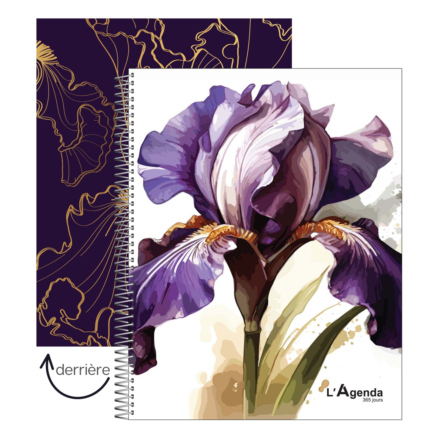 Agenda non daté - IRIS
