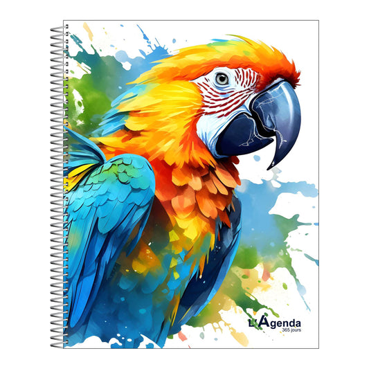 Agenda 2026 - ARA 3.0