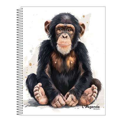 Agenda non daté - Singe