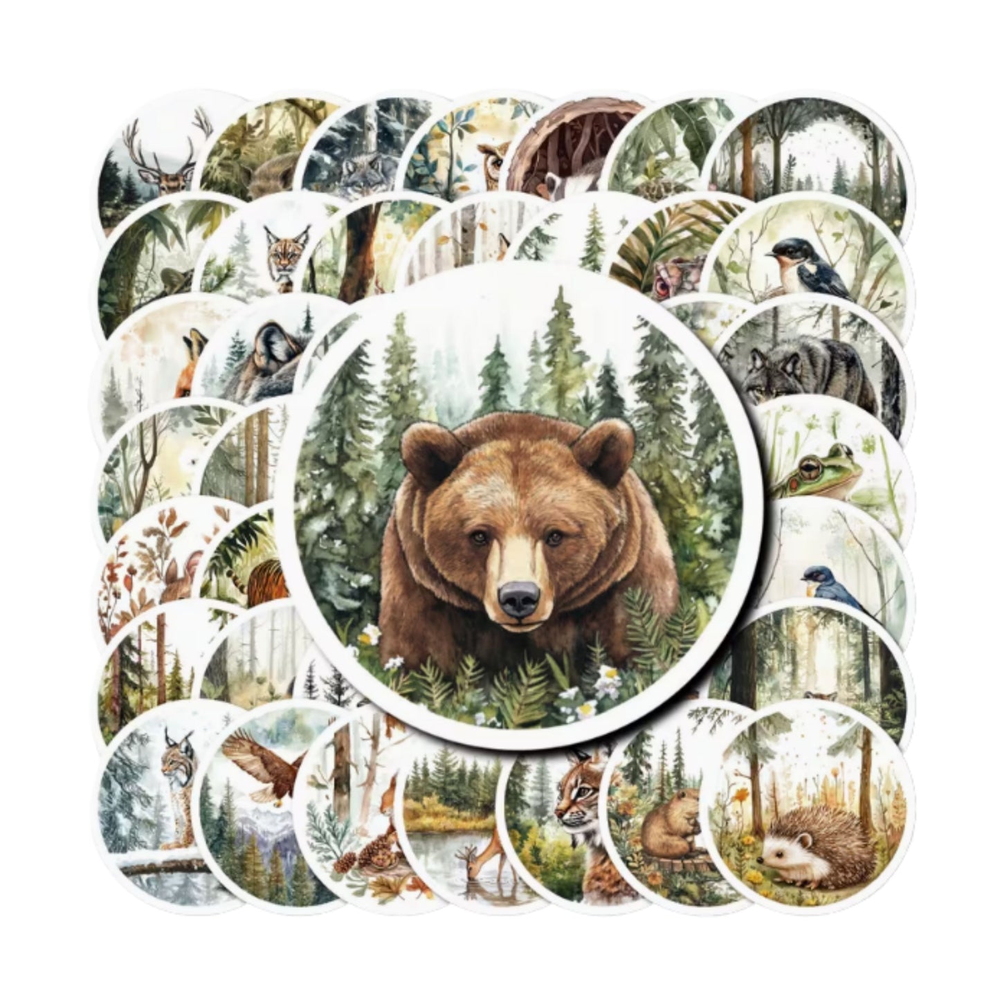Autocollants - Animaux Forêt
