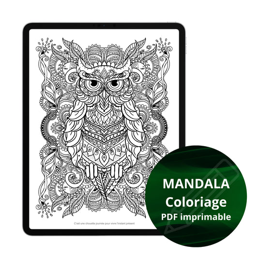 Mandala - Chouette